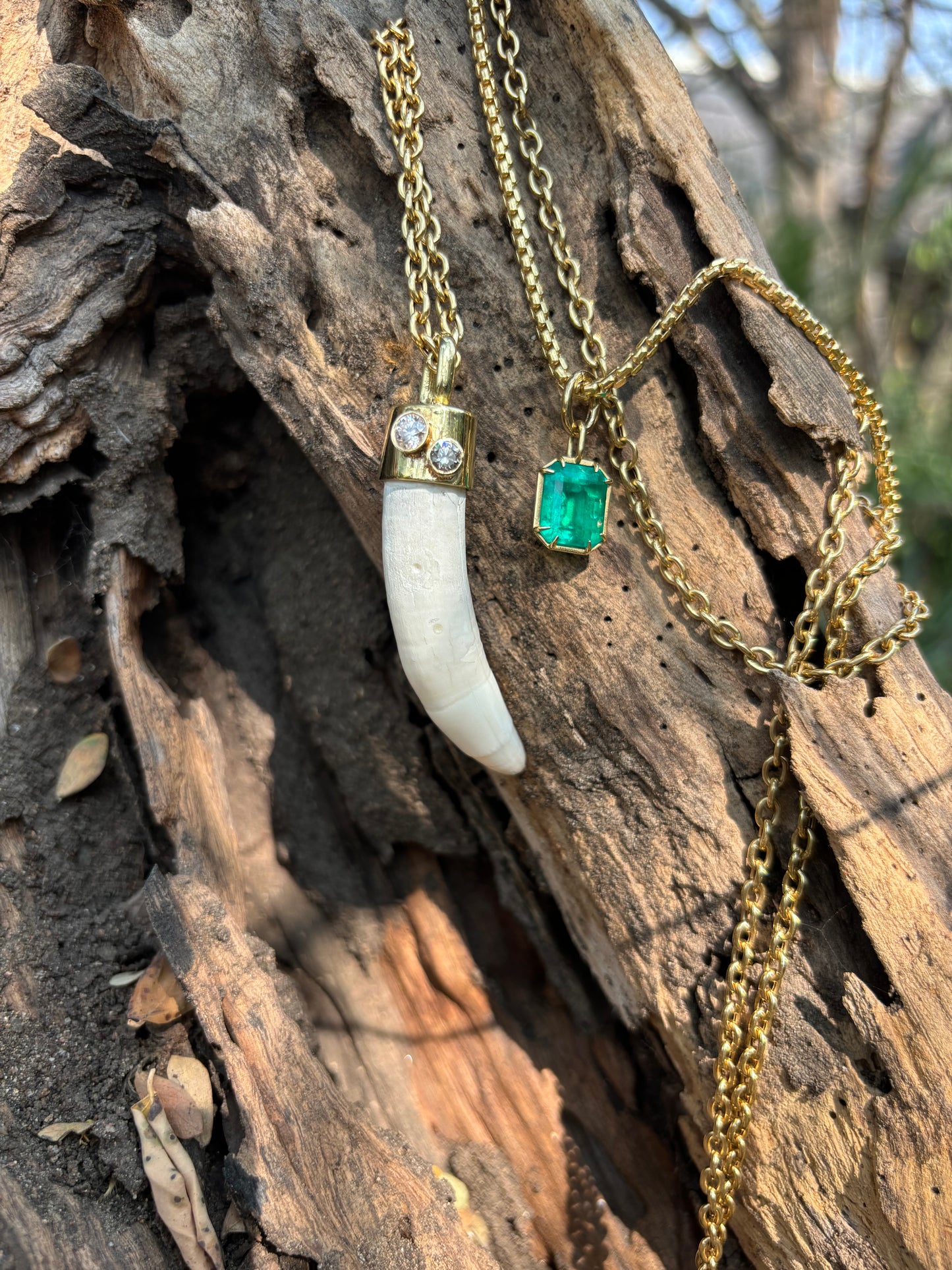 Alligator Tooth Pendant