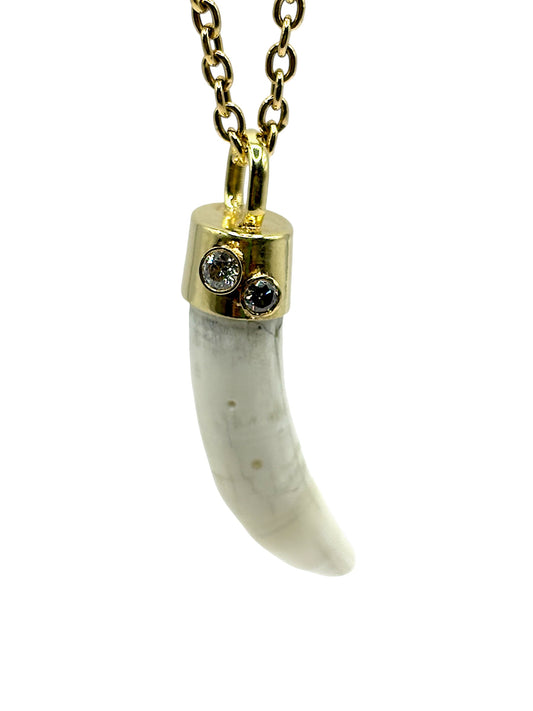 Alligator Tooth Pendant